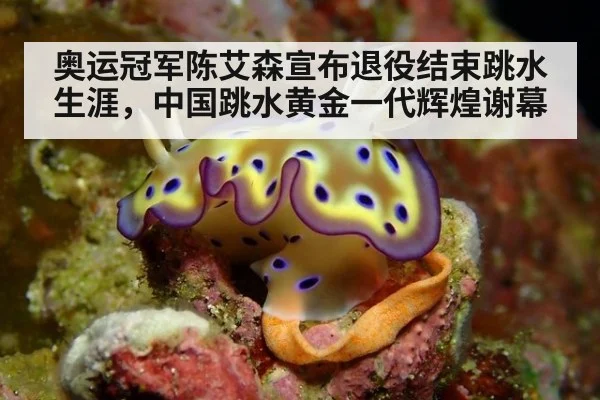 奥运冠军陈艾森宣布退役结束跳水生涯，中国跳水黄金一代辉煌谢幕