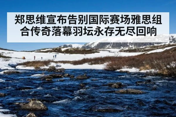 郑思维宣布告别国际赛场雅思组合传奇落幕羽坛永存无尽回响